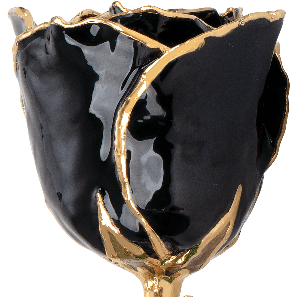 Rebirth - Natural 24K Gold Rose