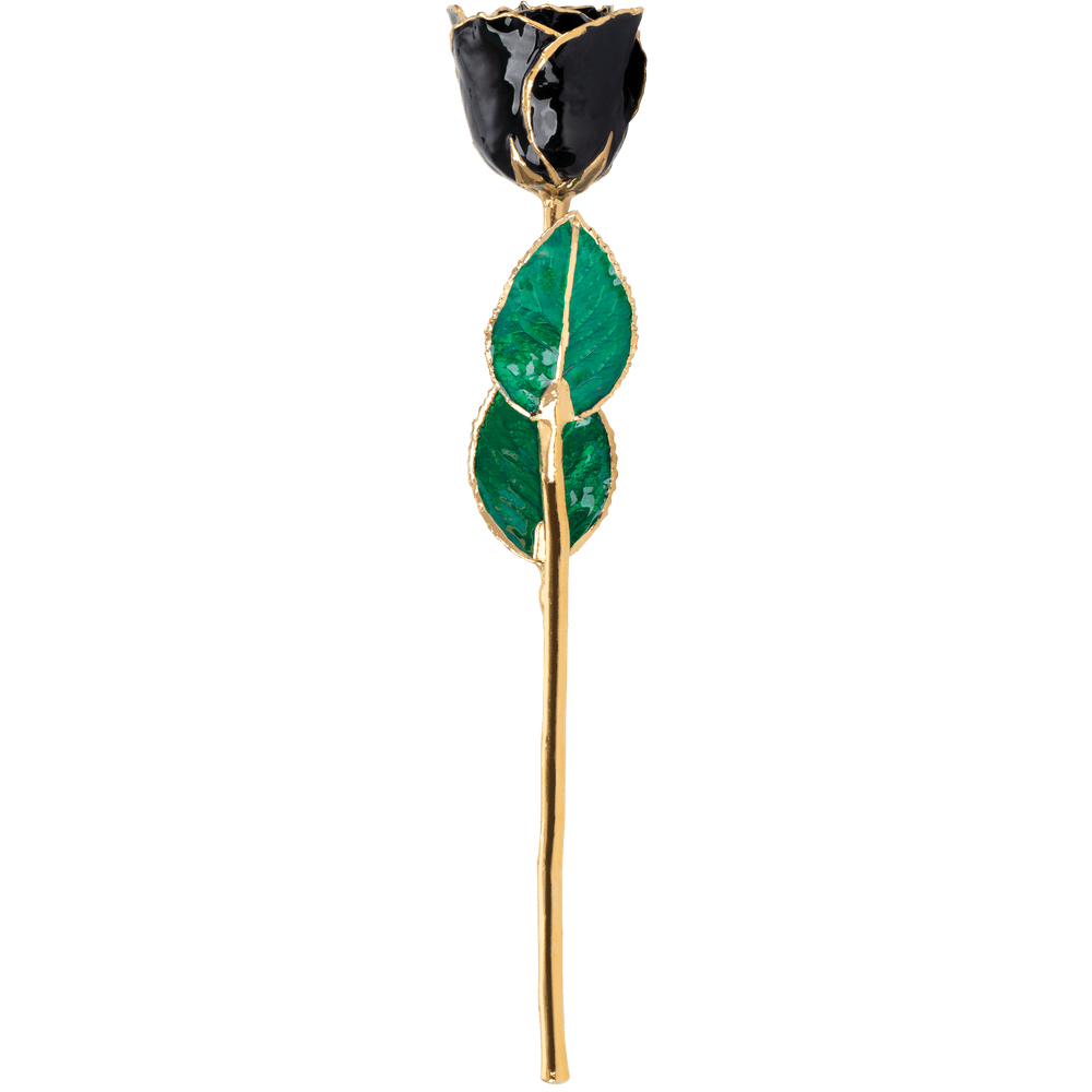 Rebirth - Natural 24K Gold Rose