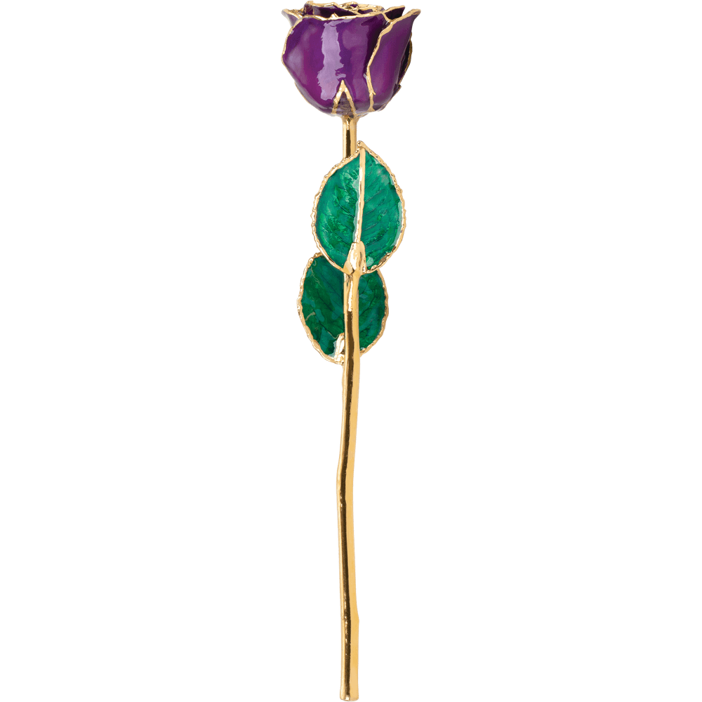 Royalty - Natural 24K Gold Rose