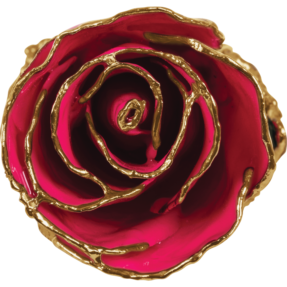 Magenta - Natural 24K Gold Rose