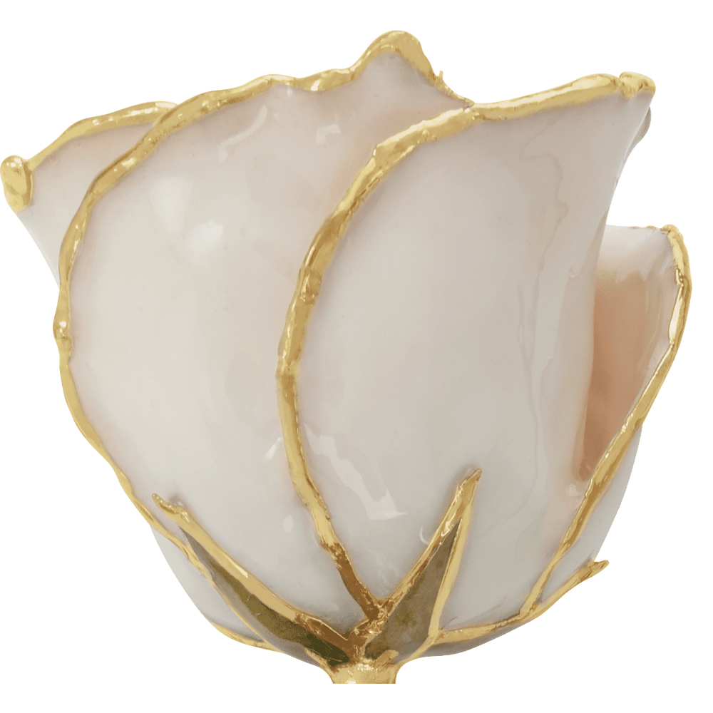 Winter - Natural 24K Gold Rose