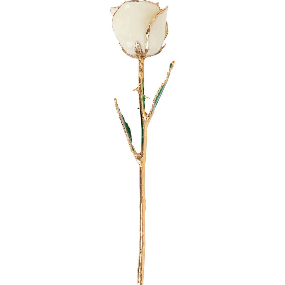 Winter - Natural 24K Gold Rose