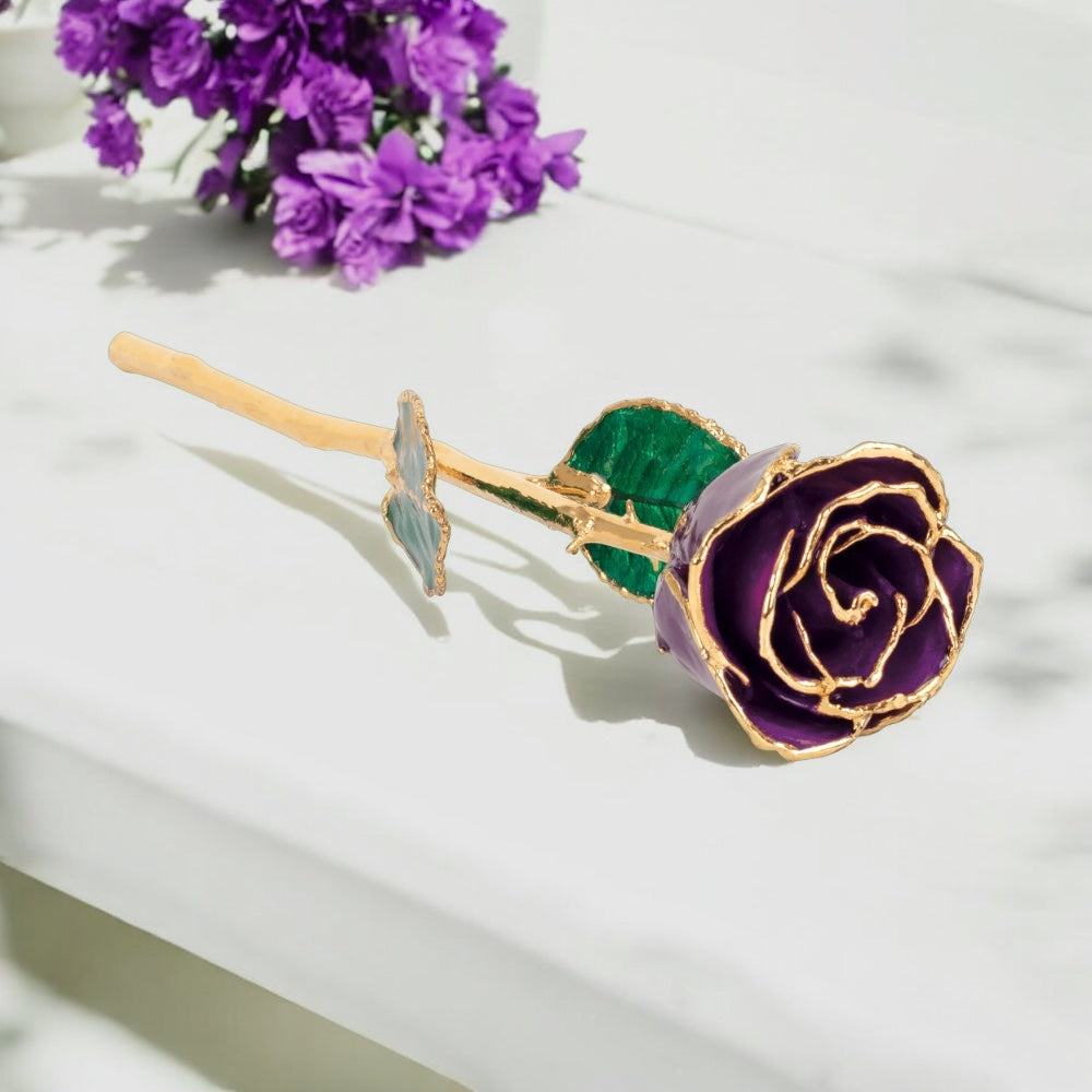 Royalty - Natural 24K Gold Rose