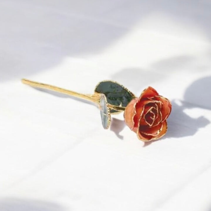 Nectarine - Natural 24K Gold Rose