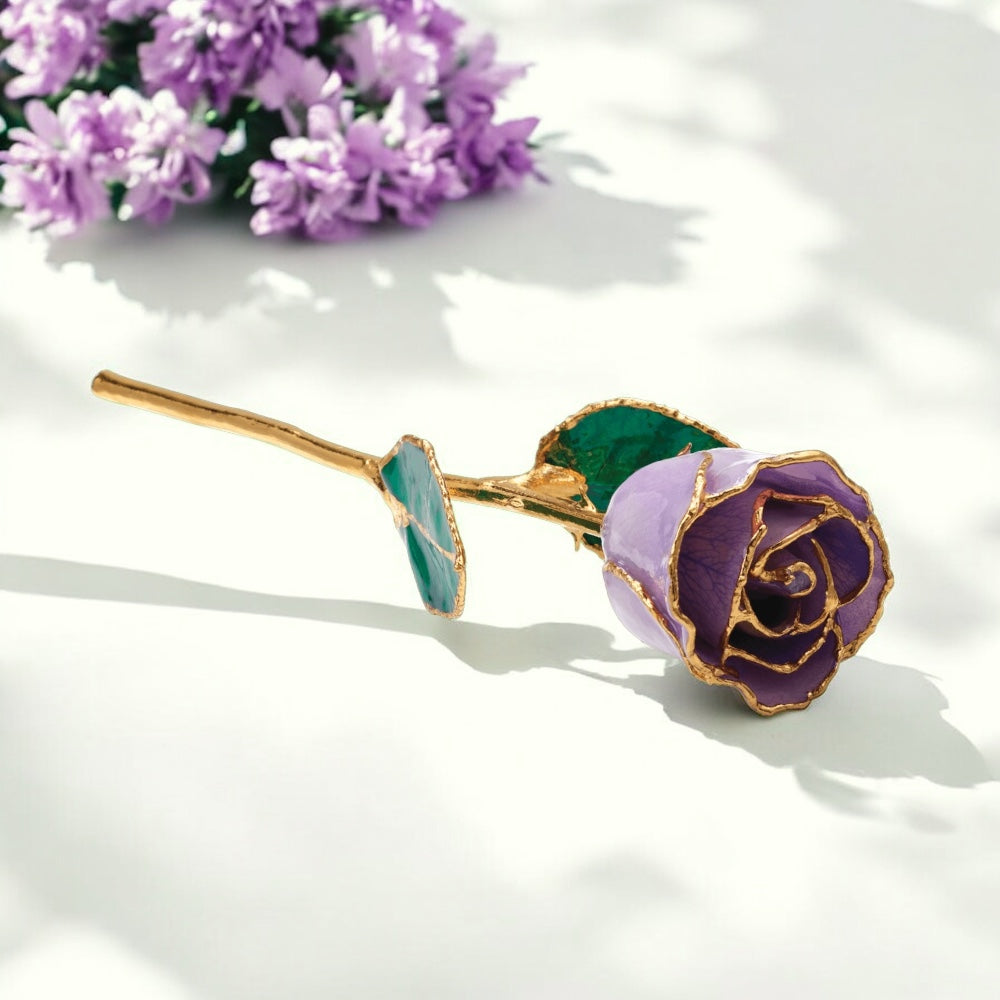 Lavender - 24K Gold Rose
