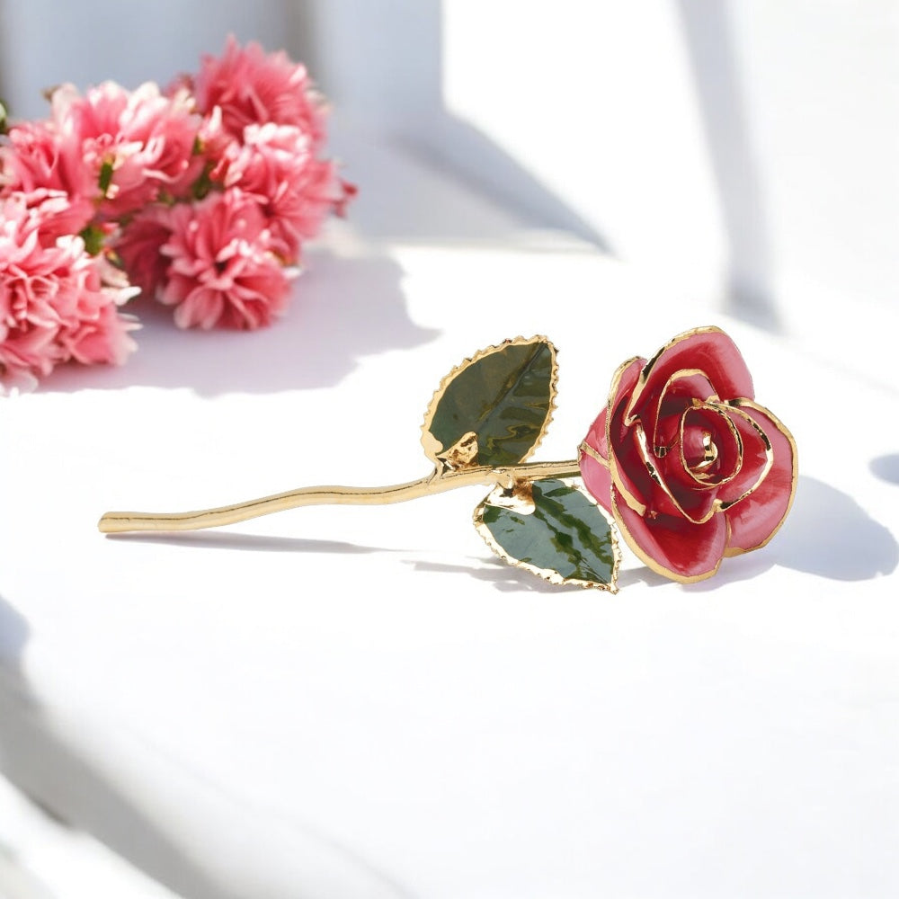 Pynca - 24K Gold Rose