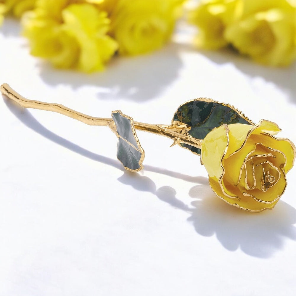 Marigold - Natural 24K Gold Rose