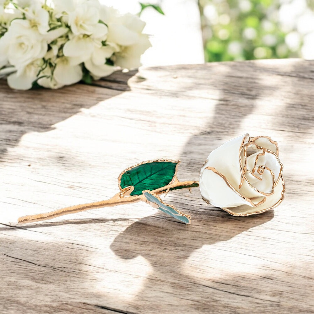 Winter - Natural 24K Gold Rose